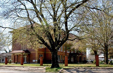 Selma University